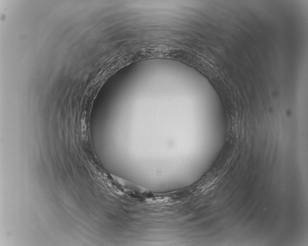 X0000053070818200508081217