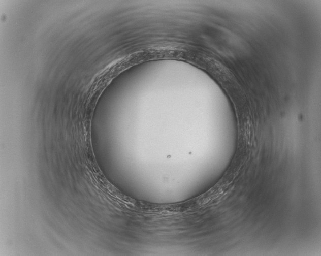 X0000053070821200508081217