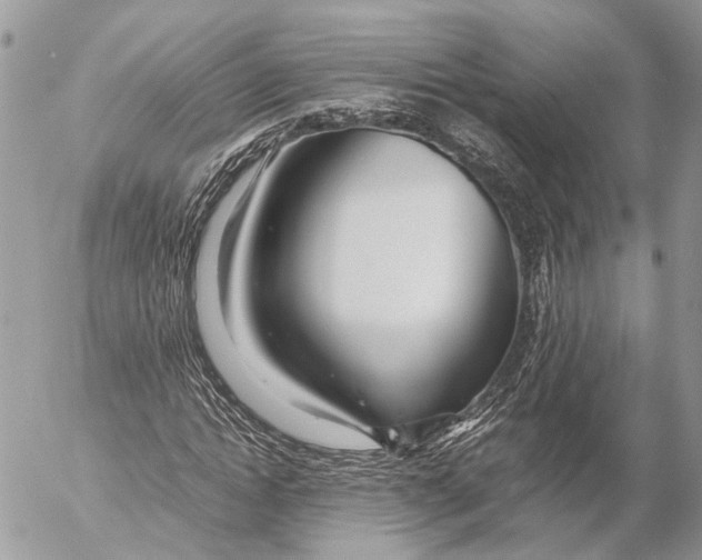 X0000053070822200508081217