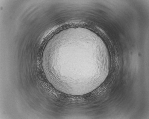 X0000053070823200508081217