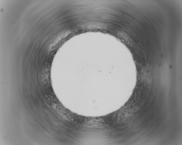 X0000053070824200508081217