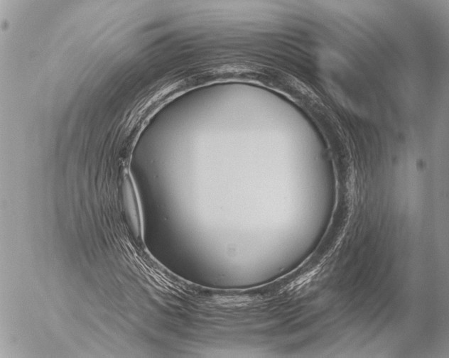 X0000053070825200508081217