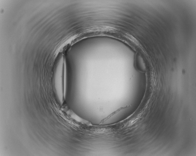 X0000053070826200508081217