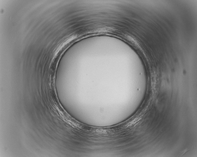 X0000053070827200508081217