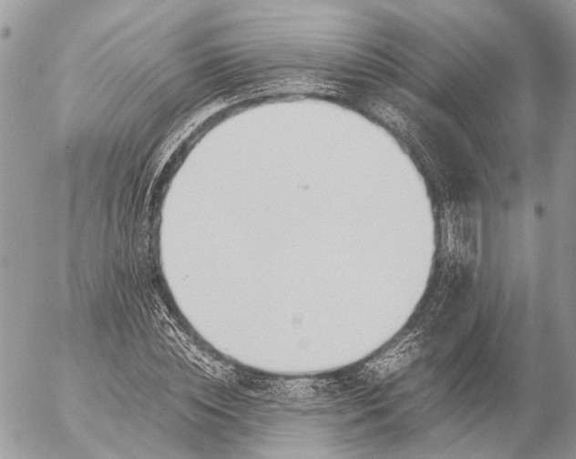 X0000053070828200508081217