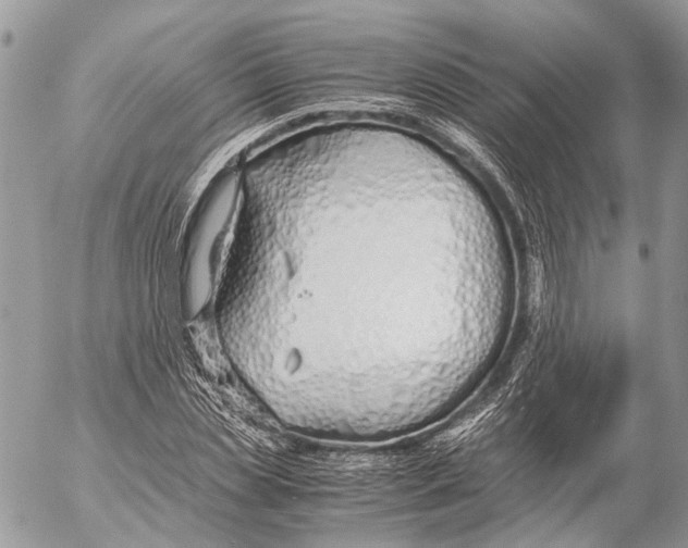 X0000053070829200508081217