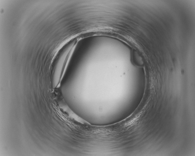 X0000053070830200508081217