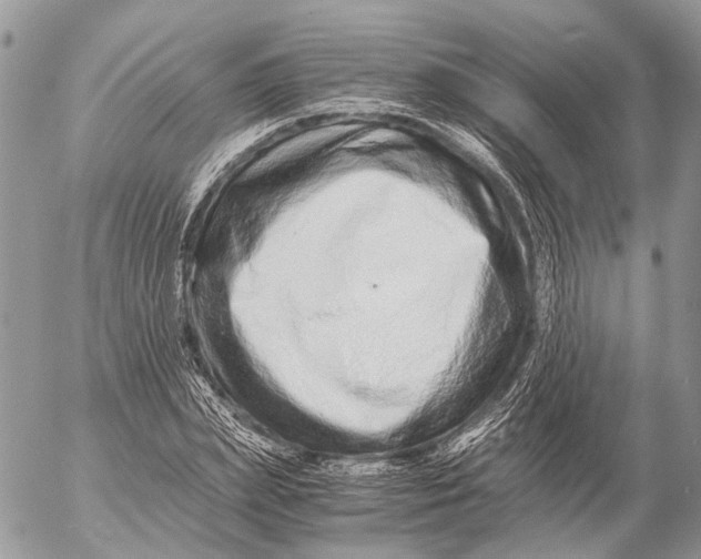 X0000053070831200508081217