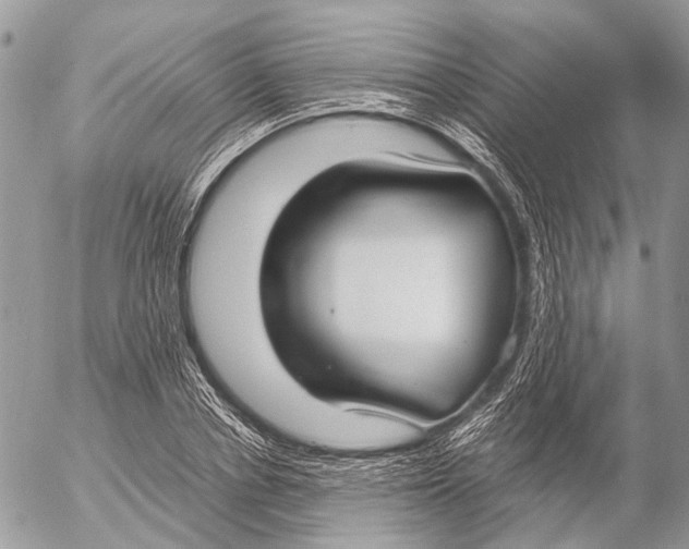 X0000053070834200508081217