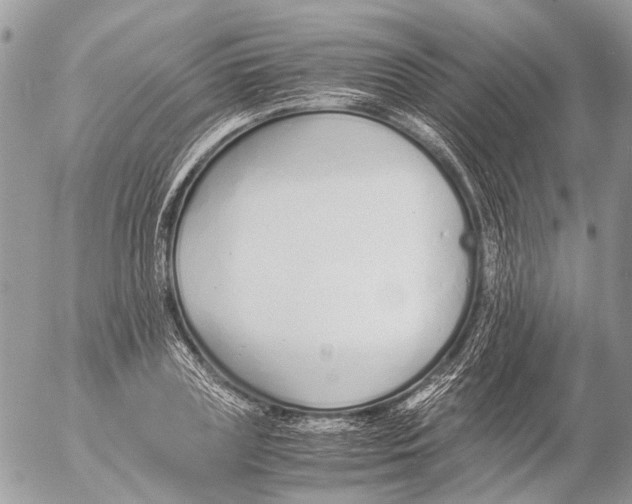 X0000053070835200508081217