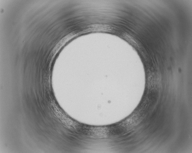 X0000053070836200508081217