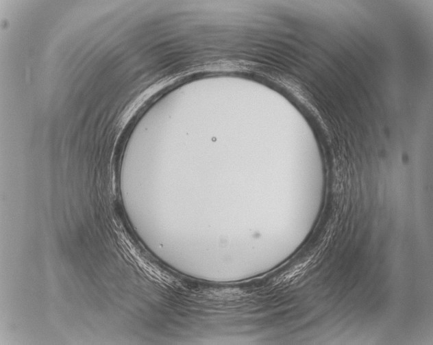 X0000053070837200508081218