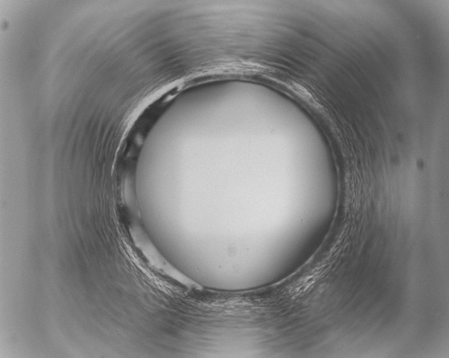 X0000053070838200508081218