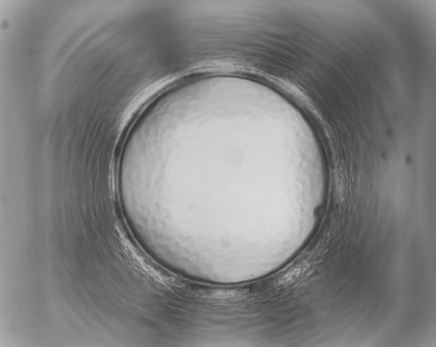 X0000053070839200508081218