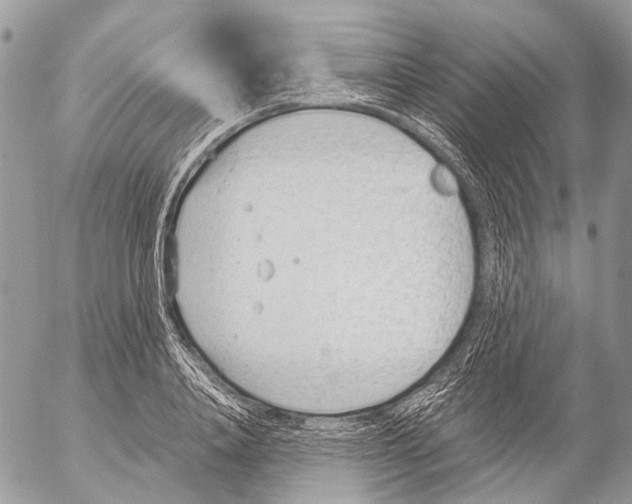 X0000053070840200508081218