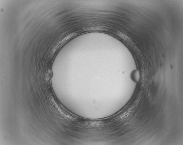 X0000053070841200508081218