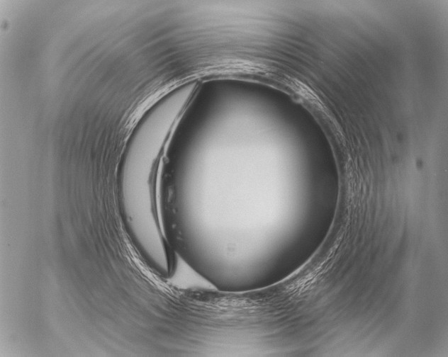 X0000053070842200508081218