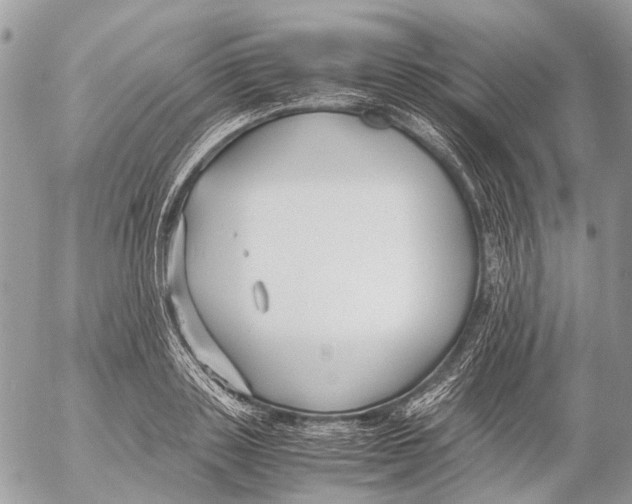 X0000053070843200508081218