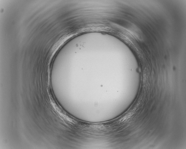 X0000053070844200508081218