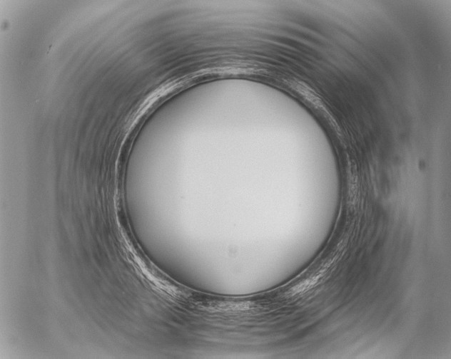 X0000053070845200508081218