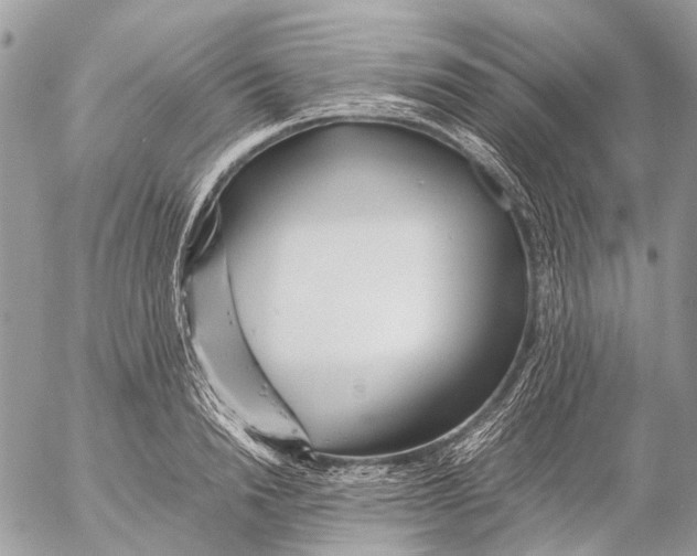 X0000053070846200508081218