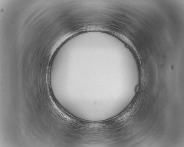 X0000053070847200508081218