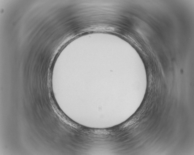 X0000053070848200508081218