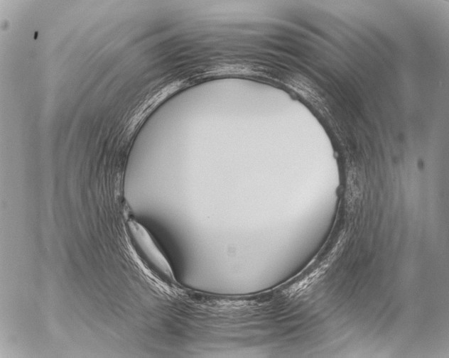 X0000053070849200508081218