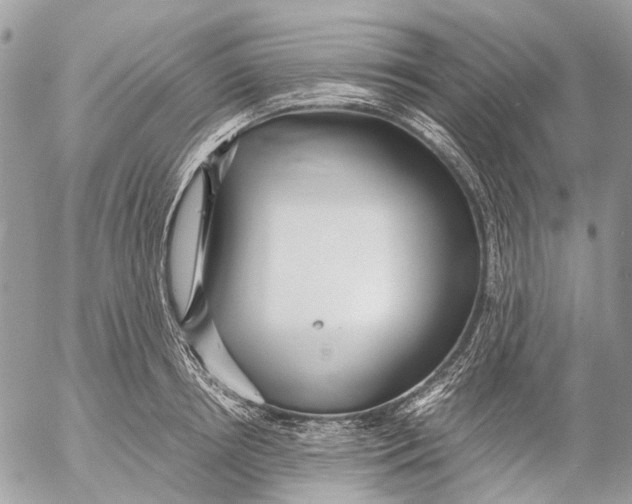 X0000053070850200508081218