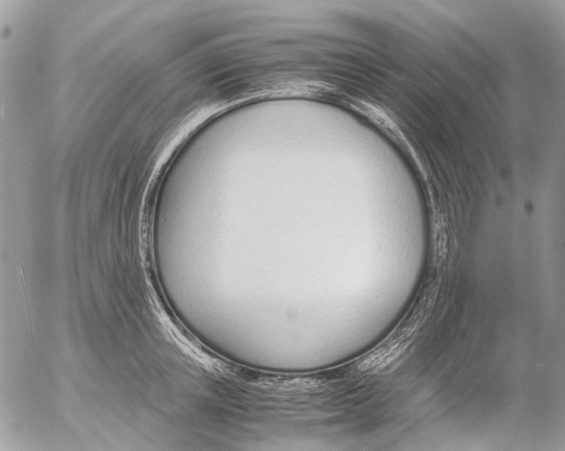 X0000053070851200508081218