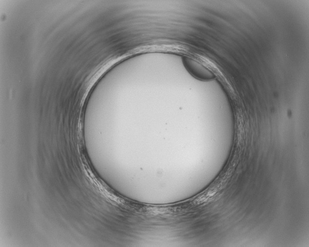 X0000053070852200508081218