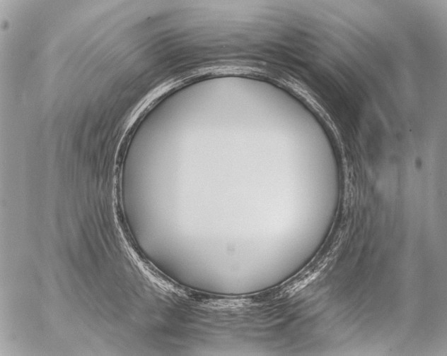 X0000053070853200508081218