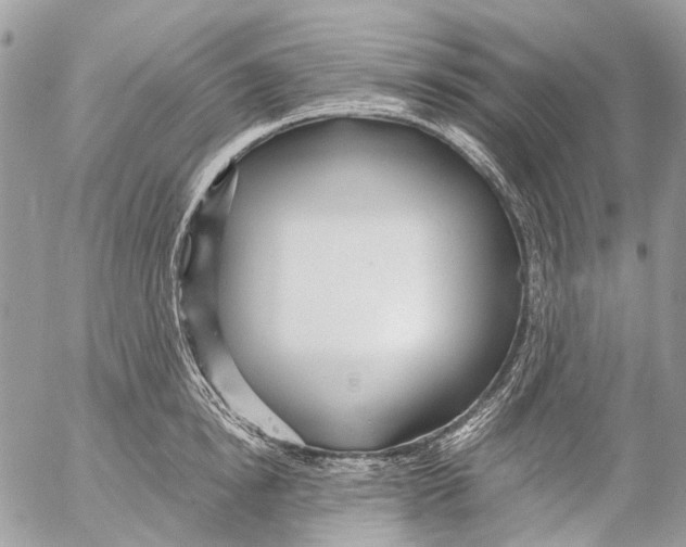 X0000053070854200508081218