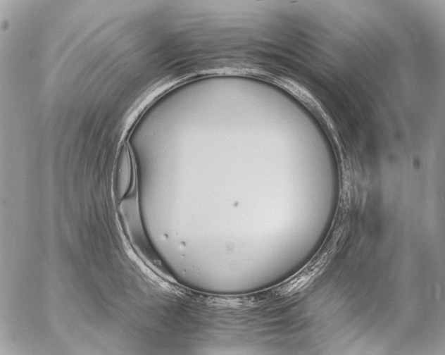 X0000053070855200508081218