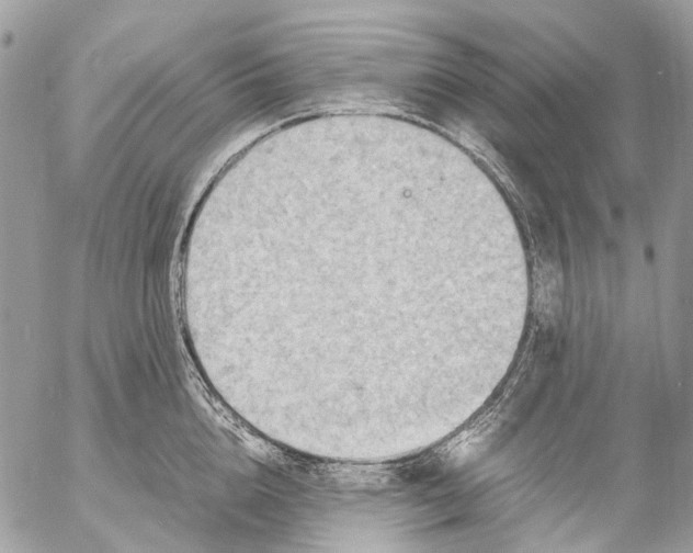 X0000053070856200508081218