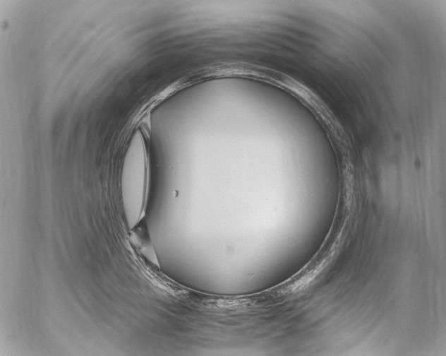 X0000053070857200508081218