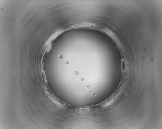 X0000053070858200508081218