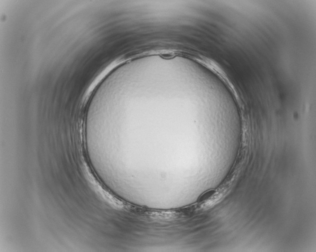 X0000053070859200508081218