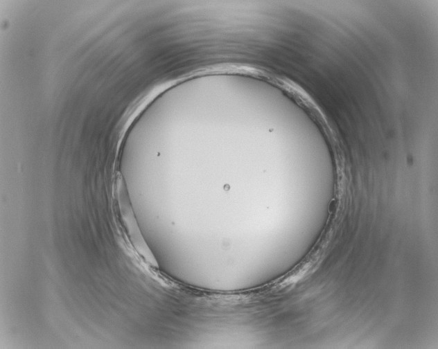 X0000053070860200508081218