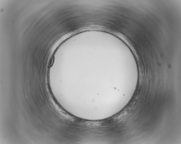 X0000053070861200508081218