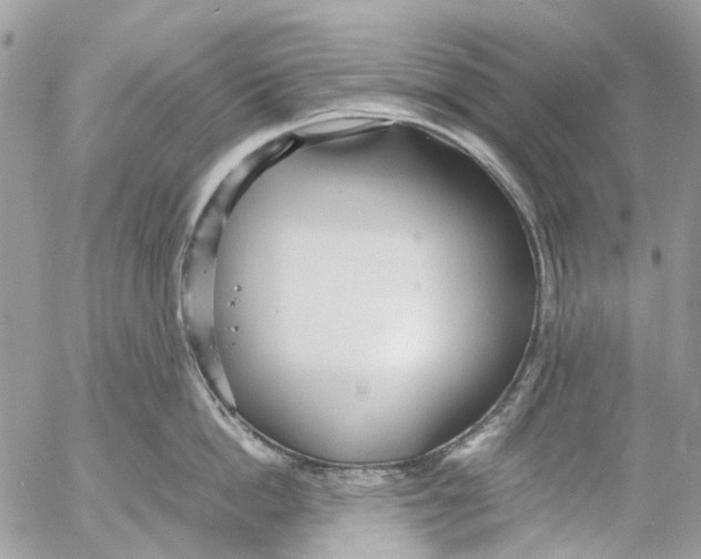 X0000053070862200508081218