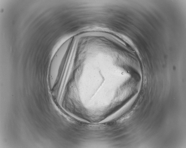 X0000053070863200508081218