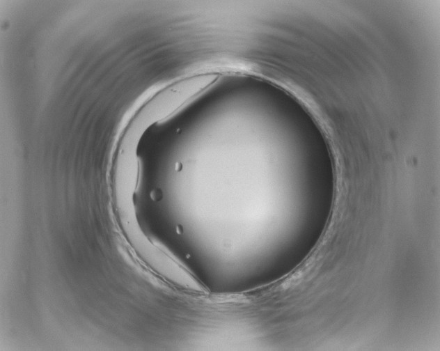 X0000053070864200508081218