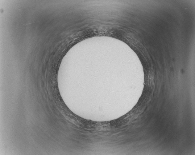 X0000053070865200508081217