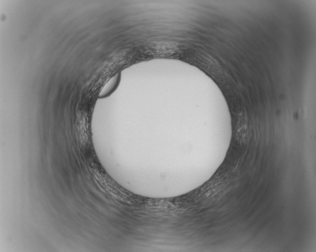 X0000053070866200508081217