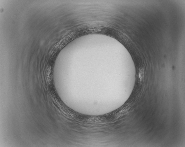 X0000053070867200508081217