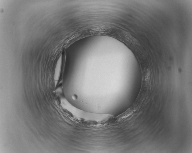 X0000053070868200508081217