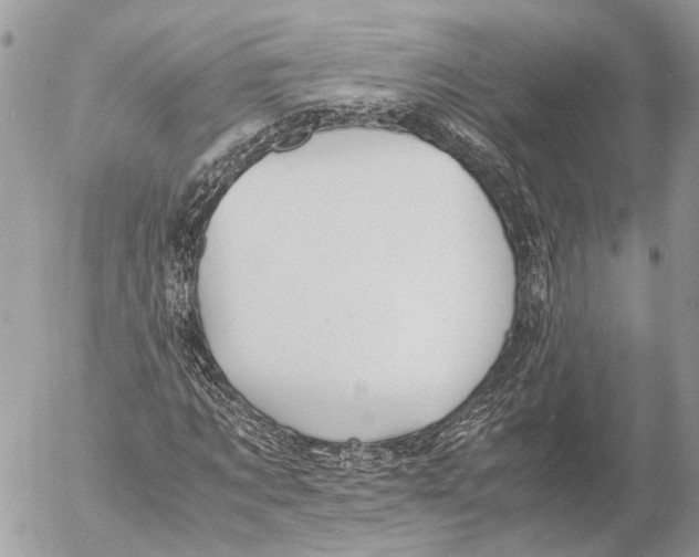 X0000053070869200508081217