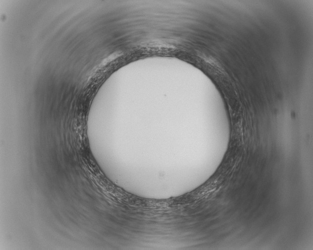 X0000053070870200508081217