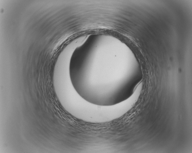 X0000053070871200508081217